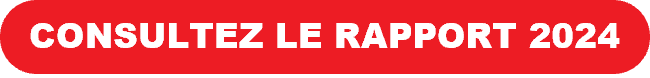 Bouton pour consulter le rapport 2024